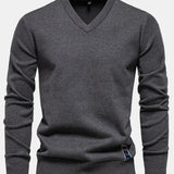 Long Sleeve V-Neck Sweater