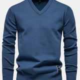 Long Sleeve V-Neck Sweater